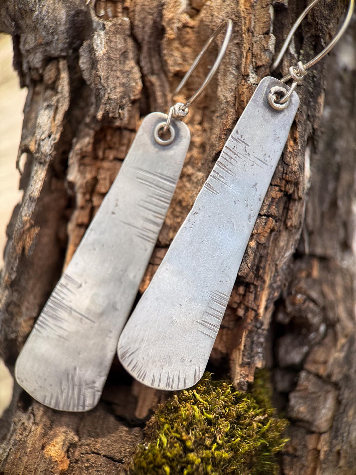 Silver earrings hanging on a tree trunk with natural background