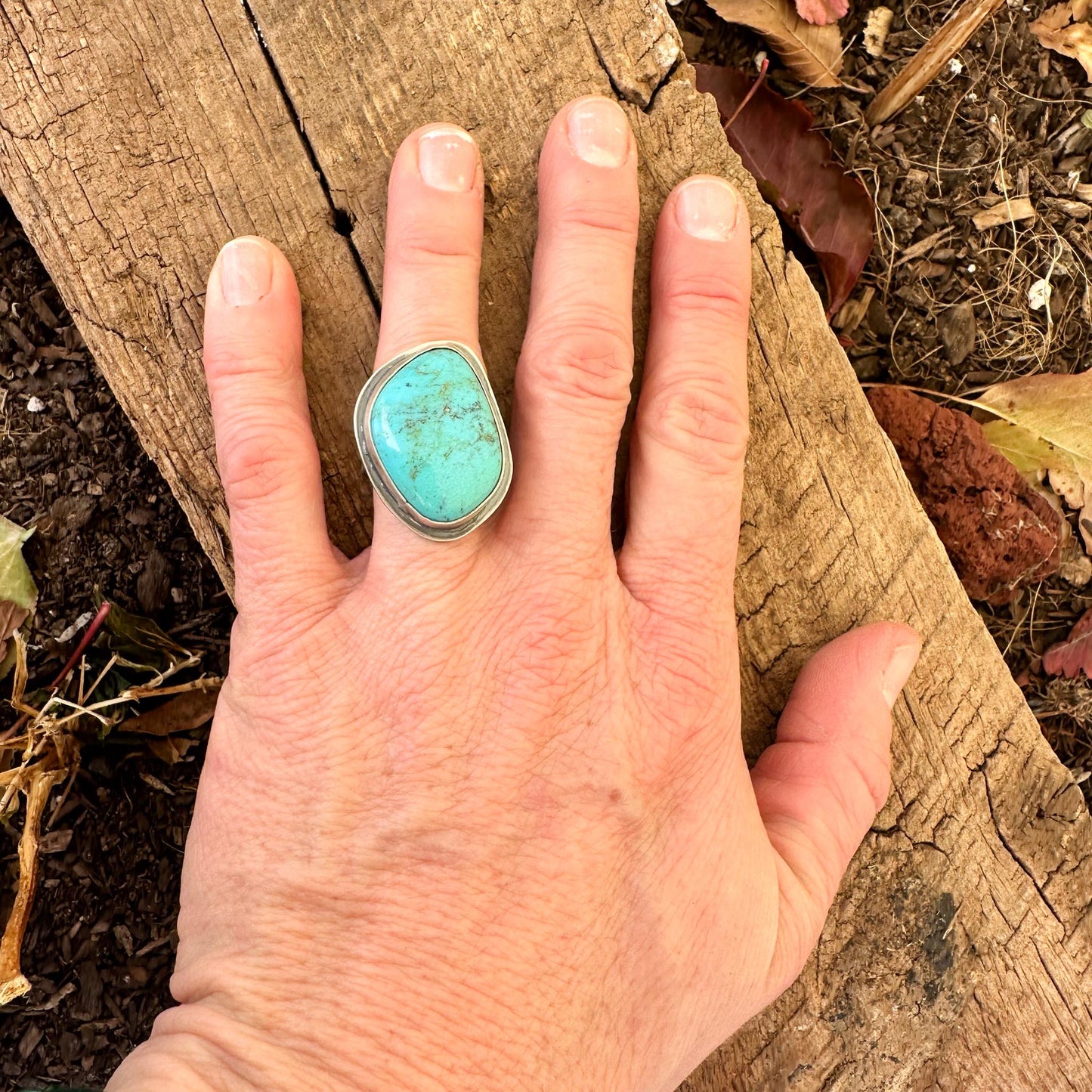 Kingman Turquoise Everyday